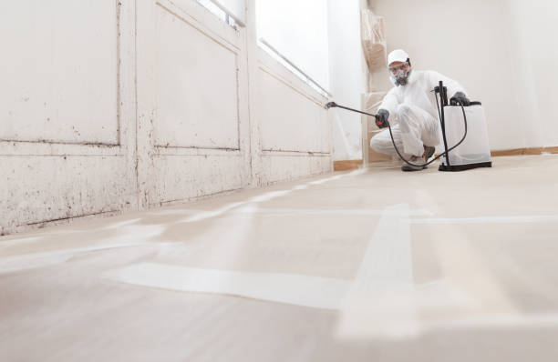 Best Industrial Mold Remediation  in Fulton, TX